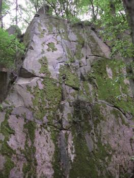 Aufschluss im Heidelberg-Granit am Wildeleutstein, südöstlich des Eichberggipfels Blick auf eine hohe, von horizontal und vertikal verlaufenden Klüften durchzogene Felswand aus Granit. Das violettgrau gefärbte Gestein ist bemoost und von Bäumen umstanden.