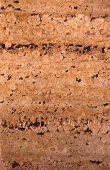 angeschliffene Platte von Cannstatter Travertin mit konzentrisch-schaligen Pisoiden Nahaufnahme von geschliffenem, rötlich braunem Gestein. Der Stein weist zahlreiche korngroße Mineralschichten sowie Lufteinschlüsse auf.