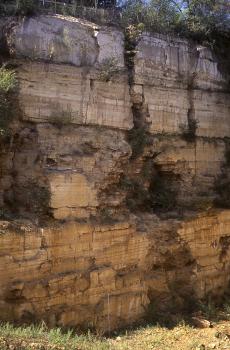 Westwand des Travertinsteinbruchs Lauster Blick auf eine hohe, unten rötlich braune, oben graue Steinbruchwand. Die Wand ist von Spalten und höhlenartigen Vertiefungen durchzogen.