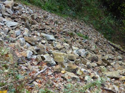 Geröllfeld aus Münsterhalden-Granit. Geröllfeld aus Münsterhalden-Granit.