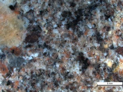 Varietät des Triberg-Granit aus dem Steinbruch Tennenbronn Mikroskopaufnahme eines Granits mit schwarzen, grauen, rötlichen und gelblich grauen Mineralen. Am linken Bildrand liegt ein deutlich großer graugelber Feldspat in der Grundmasse aus 1-4 mm großen Mineralen.