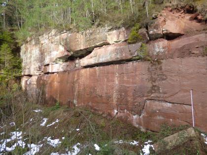 Abbauwand des Steinbruchs Loßburg (RG 7516-129) mit mächtigen Werksteinbänken. Seitlicher Blick auf eine Steinbruchwand mit roten, bis zu 3 m mächtigen Sandsteinbänken. Im Vordergrund rechts sieht man die Teilverfüllung des Steinbruchs. Oberhalb der Steinbruchwand liegt ein Wald.