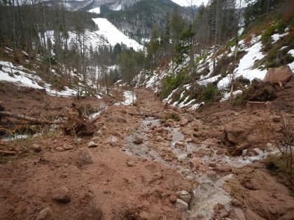 Als Murgang ergossen sich größere Mengen an Holz, Geröll und Feinsedimenten ins Tal Von oben schaut man einen bewaldeten Hang hinunter, der durch ein Bachbett eingeschnitten ist. Große Mengen an Schlamm, Gesteinsbrocken und Holzstücken erstrecken sich talabwärts am Bach entlang.