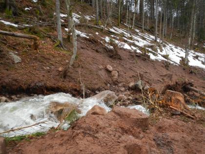 Auftreffen der Hangmure auf den Oberen Großbach bei ca. 990 m ü. NHN Im Vordergrund ist ein stark angeschwollener Bach zu sehen, in dem einige Gesteinsbrocken, Geröll und Äste liegen. Drumherum befindet sich brauner Schlamm. Oberhalb des Baches sind einige abgeknickte Bäume zu erkennen.