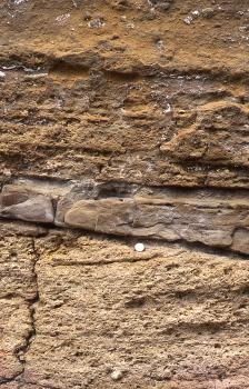 Der Randengrobkalk (unten) wird überlagert von einem geringmächtigen Kalksandstein. Der Randengrobkalk (unten) wird überlagert von einem geringmächtigen Kalksandstein.