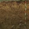 Das Foto zeigt ein Bodenprofil unter Wald. Es handelt sich um ein Musterprofil des LGRB. Das dunkelbraune Profil ist 1,50 m tief.