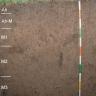 Das Foto zeigt ein Bodenprofil unter Grünland in Waldnähe. Es handelt sich um ein Musterprofil des LGRB. Das sechs Horizonte umfassende Profil ist 145 cm tief.