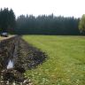 Das Bild zeigt links einen Drängraben im Niedermoor. Im Vergleich zur rechts angrenzenden Wiese ist der Boden des Grabens schwarz und mit Wasser gefüllt. Im Hintergrund steht Wald.