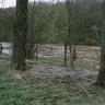 Blick auf die Ufer eines Hochwasser führenden Flusses. Das vordere, dem Betrachter nahe und mit Bäumen bestandene Ufer zeigt dabei deutliche Spuren von Überflutung, wie abgelagertes Erdreich oder angeschwemmtes Stroh.