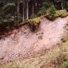 Blick auf die Wand einer Sandgrube. Die Wand aus rosafarbenem Material steigt in leichtem Bogen nach rechts hin an. Die Kuppe oben ist bewaldet, rechts und unten verläuft eine bewachsene Böschung.