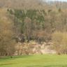 Blick auf eine Wiese im vorderen Bildteil sowie einen daran angrenzenden Steilhang mit freiliegendem, gelblichen Gestein sowie hohen, die Kuppe besetzenden Bäumen. Zum Hintergrund hin wird der Prallhang dann zu einem bewaldeten Berghang.