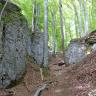 Das Bild zeigt einen schmalen Waldpfad, auf dessen linker Seite sich eine dunkelgraue, halbhohe Felswand erhebt. Rechts ist ein niedrigerer Felsblock zu sehen, davor liegt eine Böschung.