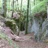 Blick auf einen schmalen Waldpfad, der zum Hintergrund hin in eine enge Felsschlucht führt. Rechts führen Felswände auf den Betrachter zu; sie sind graublau, halbhoch und oben bewachsen. Links ist ein einzelner Felsblock zu sehen, davor eine Böschung.