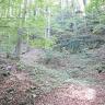 Blick auf einen zum Hintergrund hin ansteigenden steilen Waldhang. Rechts sowie im Vordergrund ist das Gelände felsig, wannenförmig und baumfrei.