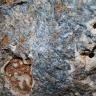 Nahaufnahme einer Gesteinswand im Besucherbergwerk Finstergrund. In der Bildmitte zeigen sich Reste von blauem Flussspat, links unten platzt braunes Gestein hervor. Rechts sind weißliche Stellen mit Bohrlöchern zu erkennen.