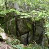 Blick auf einen nach rechts unten abfallenden Waldhang, an den sich große, durch Klüfte getrennte Felsblöcke anlehnen. Die Felsblöcke sind stark bemoost.