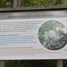 Blick auf eine vor Bäumen und Sträuchern stehende Schautafel mit Informationen zum seltenen Karneoldolomit sowie zu Pflanzen, die auf basenhaltigen Böden wachsen.