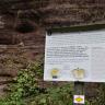 Blick auf eine rötlich graue, teilweise mit Pflanzen überdeckte Gesteinswand. Im Vordergrund rechts steht eine Schautafel mit Informationen zum Gestein.