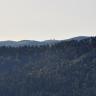 Blick auf leicht nach rechts ansteigende Bergwälder. Im Hintergrund sind höhere, zum Teil kahle Bergrücken erkennbar.