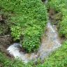 Blick von oben auf einen strudelförmigen Bachlauf, dessen Wasser in einer Vertiefung des Erdreiches (links unten im Bild) verschwindet. Der Bach ist von Grünpflanzen gesäumt.