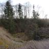 Blick auf eine sich nach rechts öffnende größere Bodenvertiefung am Rande einer Wiese. Die Doline ist mit Bäumen und Sträuchern bewachsen.