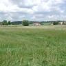 Blick auf eine hochstehende grüne Wiese, im Hintergrund begrenzt von ein paar Häusern. Dahinter sind noch flache, bewaldete Hügel erkennbar. 