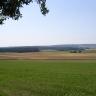 Blick über eine grün und braun gefärbte, flachwellige Nutzlandschaft, die bis zum bewaldeten Horizont reicht.
