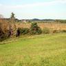 Blick über eine zur Mitte hin abfallende Wiese auf ein rotbraun gefärbtes, mit schlanken weißen Bäumen durchsetztes Hochmoor. Im Hintergrund Bäume und bewaldete Hügel.