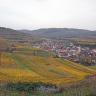 Blick von erhöhtem Standort auf nach rechts abfallende, herbstlich gefärbte Rebanlagen. Dahinter liegt eine Ortschaft. Im Hintergrund erheben sich terrassierte Rebberge.