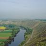 Das Bild beherrschend sind steile Rebhänge, die sich vom linken Hintergrund bis nach rechts vorne, dem Betrachter entgegen, ausbreiten. Unterhalb der Hänge folgen ein Fluss sowie eine Straße dem Bogen der Rebflächen. Links des Flusses liegen Äcker.