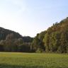 Blick auf eine ebene Wiese und angrenzende, dichte Wälder.