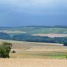 Unter einem Gewitterhimmel breiten sich Waldstreifen, Weinberghänge sowie Ackerflächen aus. Zum Vordergrund hin folgen weitere, nach links und zum Betrachter hin ansteigende Äcker.
