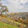 Das Bild zeigt im Vordergrund einen steil nach rechts abfallenden Hang mit Steinhügeln, Grünland und Obstbäumen. Im Hintergrund rechts sind oberhalb einer Siedlung Weinberge zu erkennen.