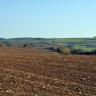 Blick auf dunkelbraune, gewellte Ackerflächen, an die sich rechts ein flacher, von mehreren Heckenstreifen durchzogener grüner Hang anschließt. 