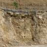 Blick auf eine Steinbruchwand aus gebanktem, gelblichen Gestein.