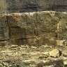 Teilansicht zweier hintereinander liegender Steinbruchwände mit gelblich grauem bis braunem Gestein. Im Vordergrund eine Sohle mit Bruchstücken.
