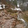 Man schaut talabwärts von einem bewaldeten Hang auf einen Wirtschaftsweg. Im Vordergrund sieht man einen Haufen Steine und Geröll. Mehrere dünne Baumstämme und Äste liegen angehäuft dahinter. Wasser fließt an den Steinen und Stämmen vorbei ins Tal.