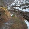 Blick auf einen Waldwirtschaftsweg. Im Hintergrund ein bewaldeter Hang, an dem ein Bach herunterfließt. Am Bach entlang findet sich Geröll und Holz, im Vordergrund haben sich mehrere Baumstämme verkeilt und versperren den Weg.
