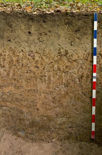 Das Foto zeigt ein Bodenprofil. Es handelt sich um ein Musterprofil des LGRB. Das Bodenprofil ist über 1 m tief.