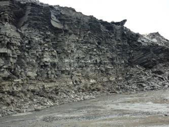 Blick auf die Wand einer Tongrube. Das aufgeschlossene Gestein ist grau, dünn gebankt und scherbig. Die Wand nimmt nach rechts hin ab.