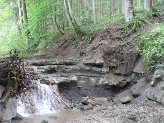 Blick auf einen steilen, nach recht aufsteigenden Waldhang mit verkippt stehenden Bäumen. Im Vordergrund schließt sich eine flache, halbrunde Felsentreppe an, die links von einem kleinen Wasserfall überwunden wird.