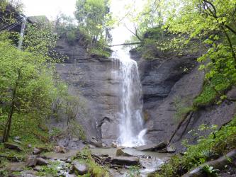 Blick auf eine hohe graue Felswand, die in der Mitte leicht eingebrochen ist. Von dort stürzt ein Wasserfall herab und bildet unten zwischen Steinblöcken einen Bach. Links und rechts sowie auf den Felsen wachsen Bäume.