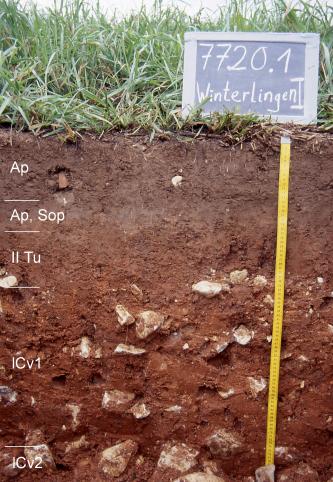 Das Foto zeigt ein Bodenprofil unter Acker. Es handelt sich um ein Musterprofil des LGRB. Das fünf Horizonte umfassende, rötlich gefärbte Profil ist 80 cm tief.