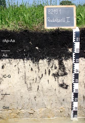 Das Foto zeigt ein Bodenprofil unter Grünland. Es handelt sich um ein Musterprofil des LGRB. Das vier Horizonte umfassende, schwarz-weiße Profil ist etwa 90 cm tief. Am Grund steht Wasser.