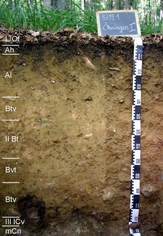 Das Foto zeigt ein Bodenprofil unter Wald. Es handelt sich um ein Musterprofil des LGRB. Das neun Horizonte umfassende Profil ist 1,30 m tief.