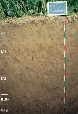 Das Foto zeigt ein Bodenprofil unter Acker. Es handelt sich um ein Musterprofil des LGRB. Das in fünf Horizonte gegliederte Profil ist über 1,50 m tief.