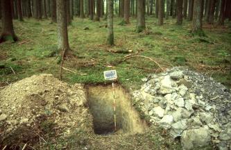 Das Bild zeigt eine offene, rechteckige Grube mitten in einem Wald. Die ausgegrabene Erde ist zu beiden Seiten der Grube aufgehäuft. Rechts besteht die Erde aus groben Schollen, links ist sie feiner.