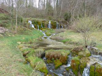 Blick auf stark bemooste, von einem kleinen Wasserfall überspülte aufgeschichtete Felsen unterhalb eines lichten Waldes. Im Vordergrund fließt das Wasser über weitere, hier jedoch locker stehende bemooste Felsen.