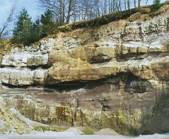 Das Bild zeigt eine nach rechts ansteigende Steinbruchwand. Auf grünliche und braune Schichten folgen zwei Reihen vorspringender Gesteinsbänke, ehe oben unter der bewachsenen Kuppe das Gestein wieder feinkerbiger wird.