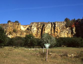 Blick auf eine gelblich braune Steinbruchwand mit Einsturzstelle links sowie tiefen senkrechten Spalten rechts der Bildmitte. Davor steht eine Baumreihe. Im Vordergrund breitet sich eine trockene Wiese aus.